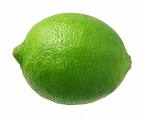 Lime Tree