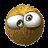 funny head