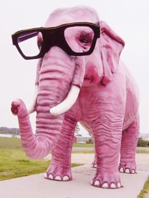 Crazy Eléphant