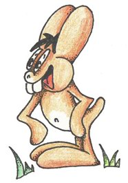 ZaJíček(králik)