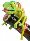 chameleon