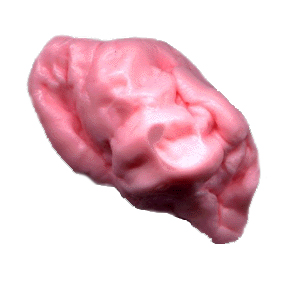 un chicle masticado