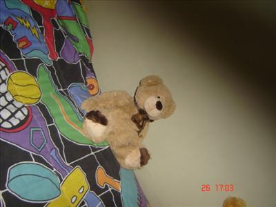 Teddy Bear 2