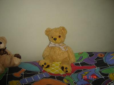 Teddy Bear1