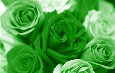 Green Flowers!