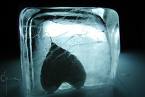 Stuck in ice
