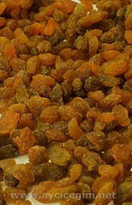 kuruyemiş 10
