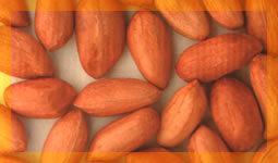 kuruyemiş 17