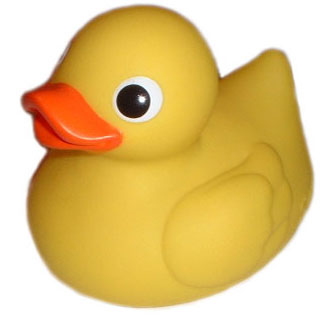 rubber ducky