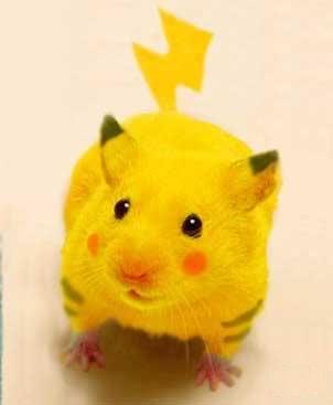pikachu