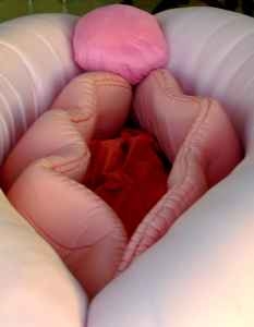 Vagina Couch