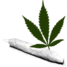 churro de mota
