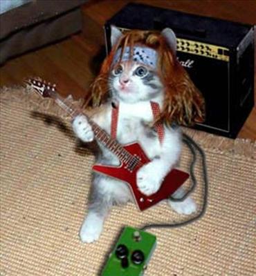Guitarist Cat