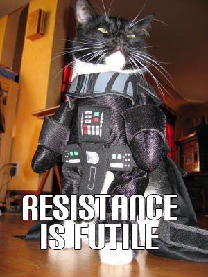 Darth Vader Cat