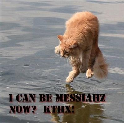 Messiah Cat