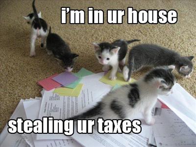 Tax Cat