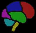 A Brain