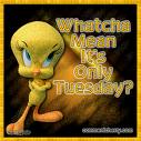 Tuesday