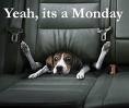 Monday