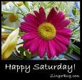Saturday