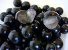  Exotic Jaboticaba