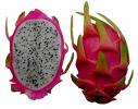 Red Pitaya