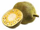 Exotic Jakfruit