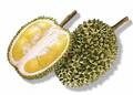 Exotic Durian