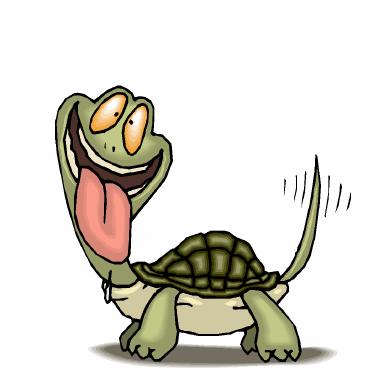 Crazy Turtle