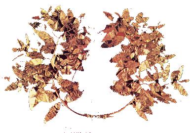 Laurel-leaf crown, Vratsa (4th c. B.C.)