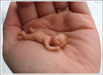 Minik Bebek