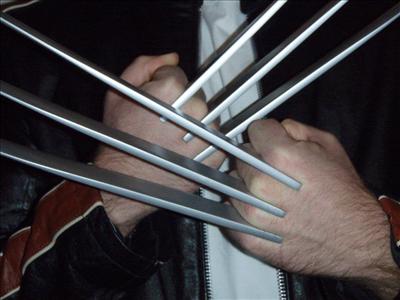 Wolverine claws