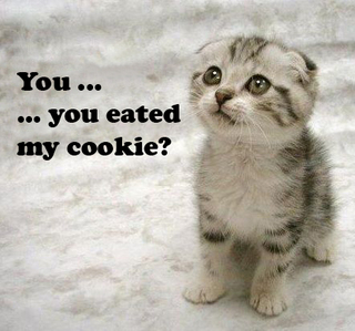 Cookie Lover
