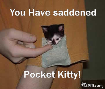 Pocket Kitty