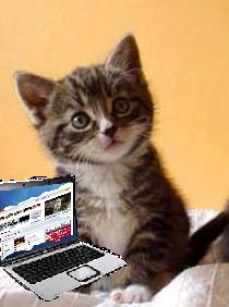 Internet Kitty