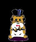 hampton the dancing hamster
