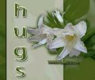 Flower Hugs