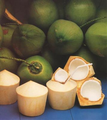 AIR KELAPA