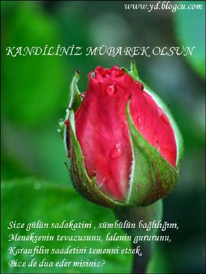 gül bahçesine girenler gül olmasalarda gül kokarlar .Kainatın en güzel gülünün kokusunun üzerinizde olmazı temennisiyle ....İyi kandiller...