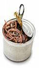 CAN O' WORMS