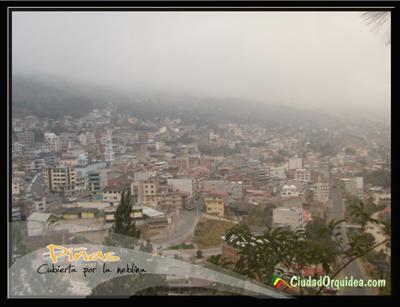 Postal de Piñas