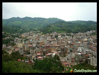 Postal de Piñas
