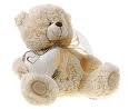teddy bear 2
