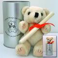 teddy bear set