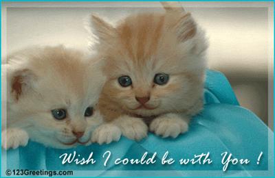 Wish I could be with you