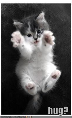 Hug?