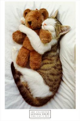 Cuddles