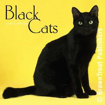 black cat