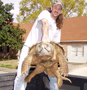 The Turtle Snap