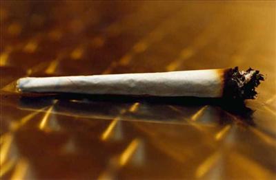 joint